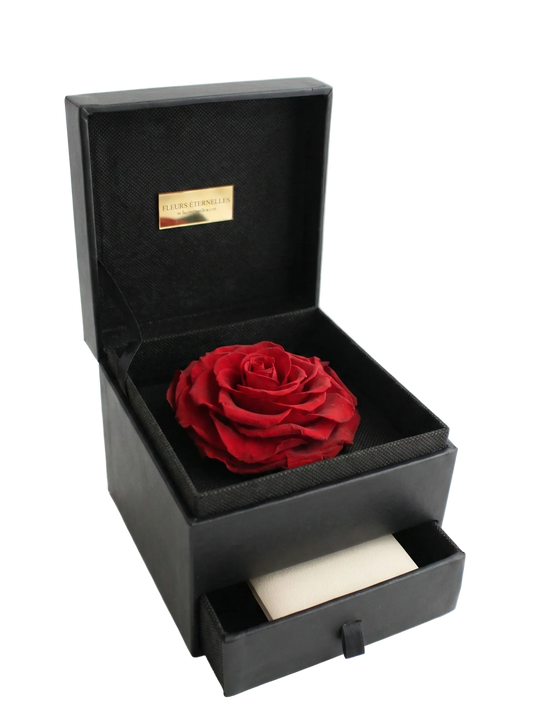 The greatest eternal rose black box with necklace