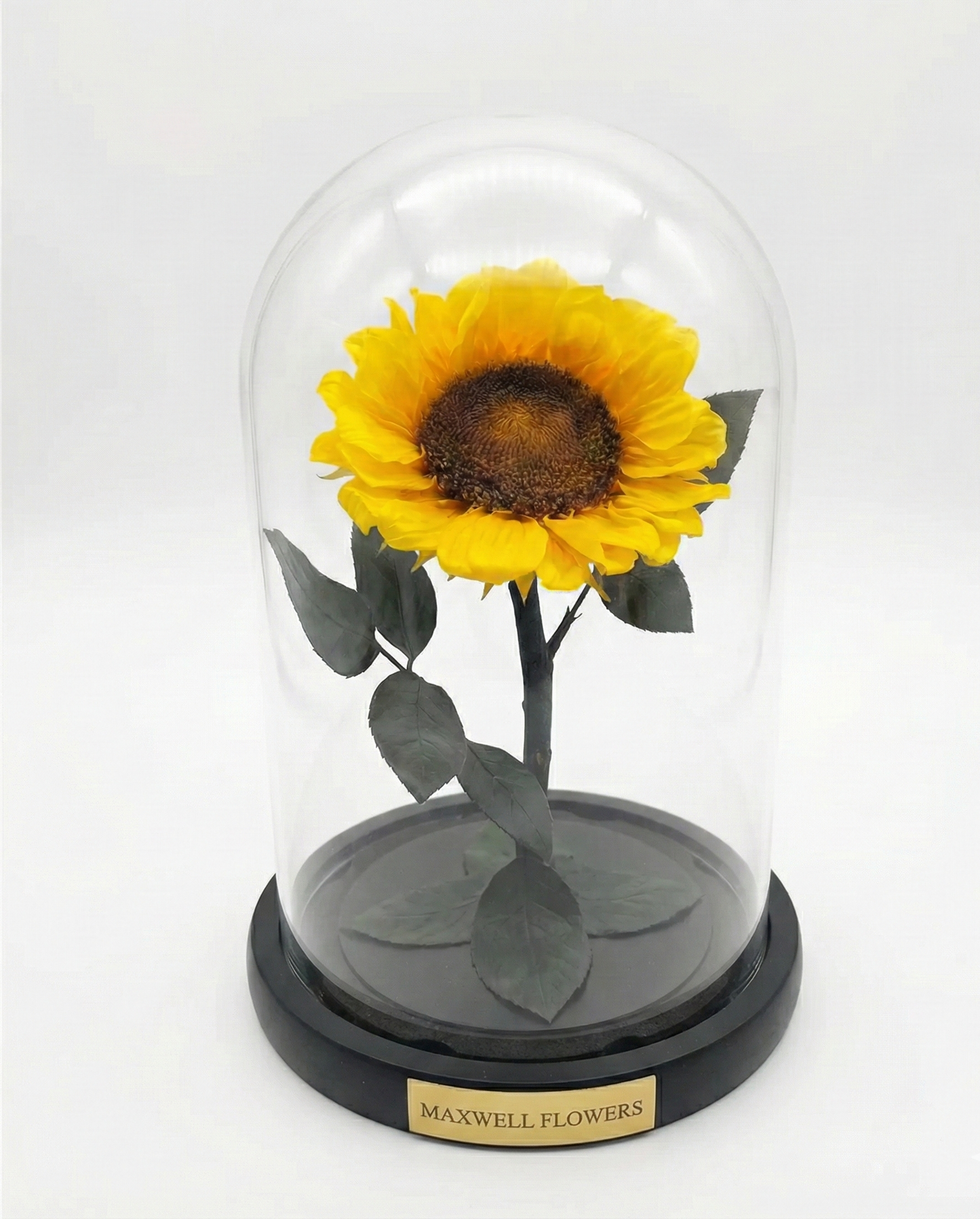Sunflower Dome – Eternal Sunshine in Bloom