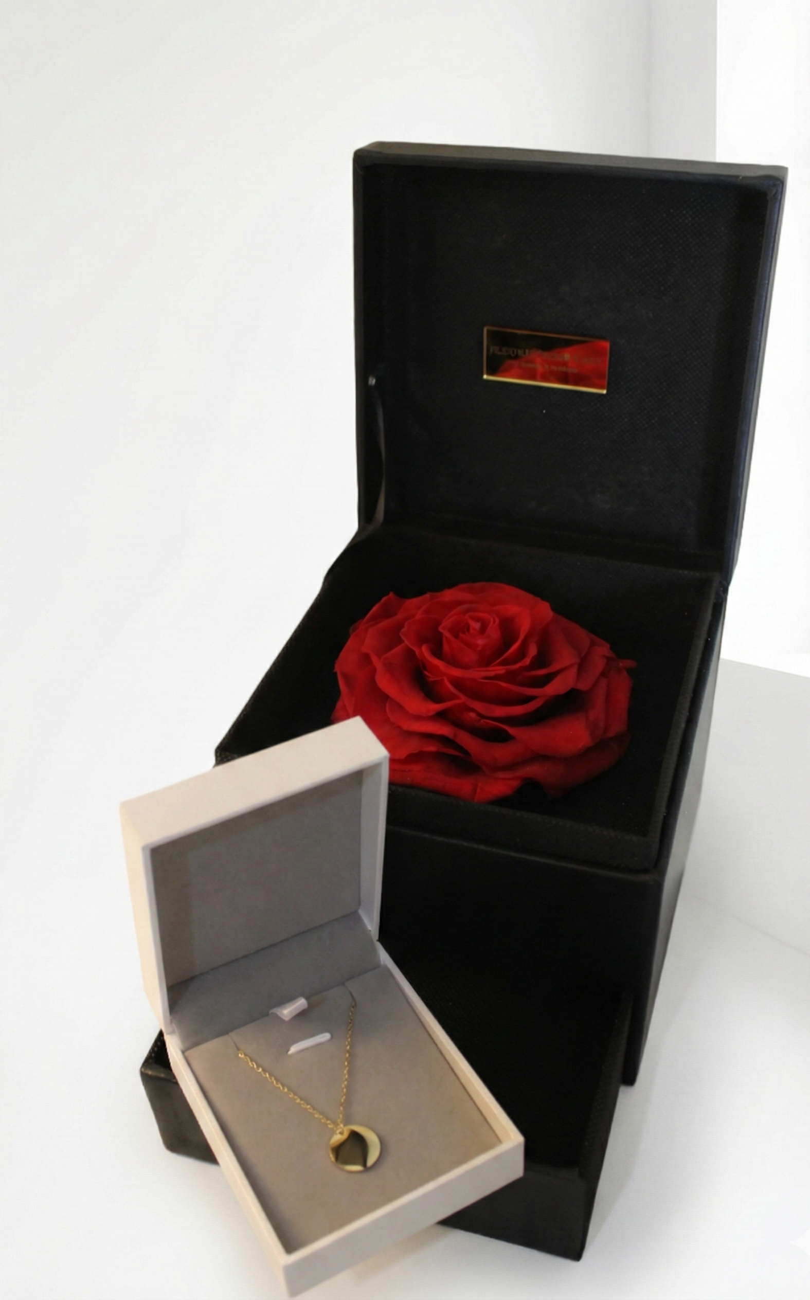 Black box with a red rose and a gold necklace on a white background
