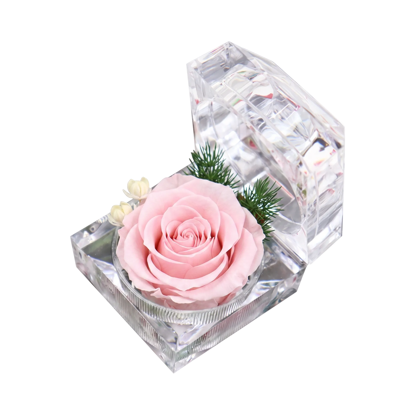 Eternal Ring box - acrylic Box