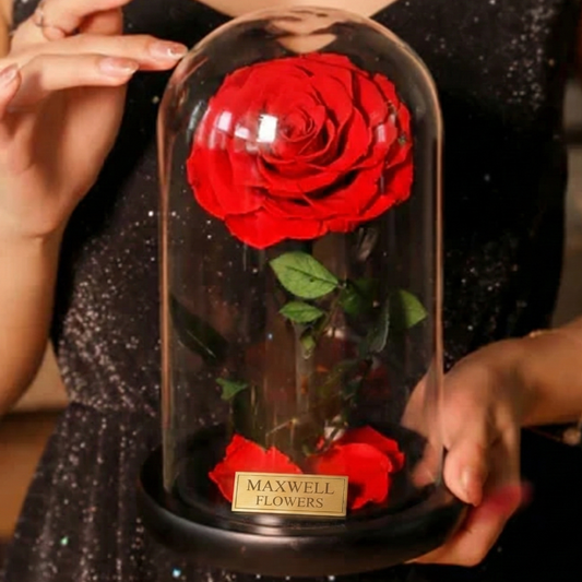 THE GREATEST ETERNAL ROSE DOME - VALENTINE READY TO SHIP