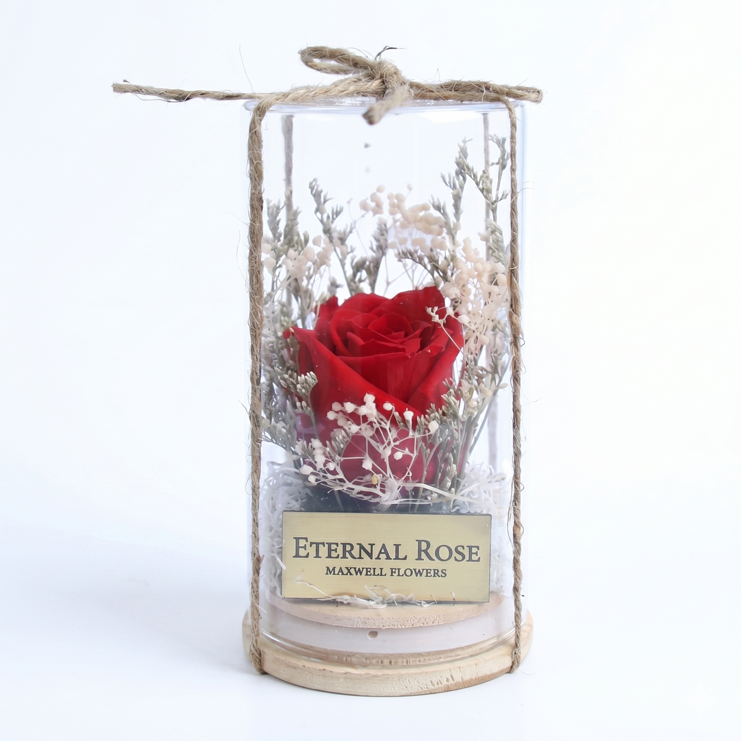 Belle Eternal Rose Dome