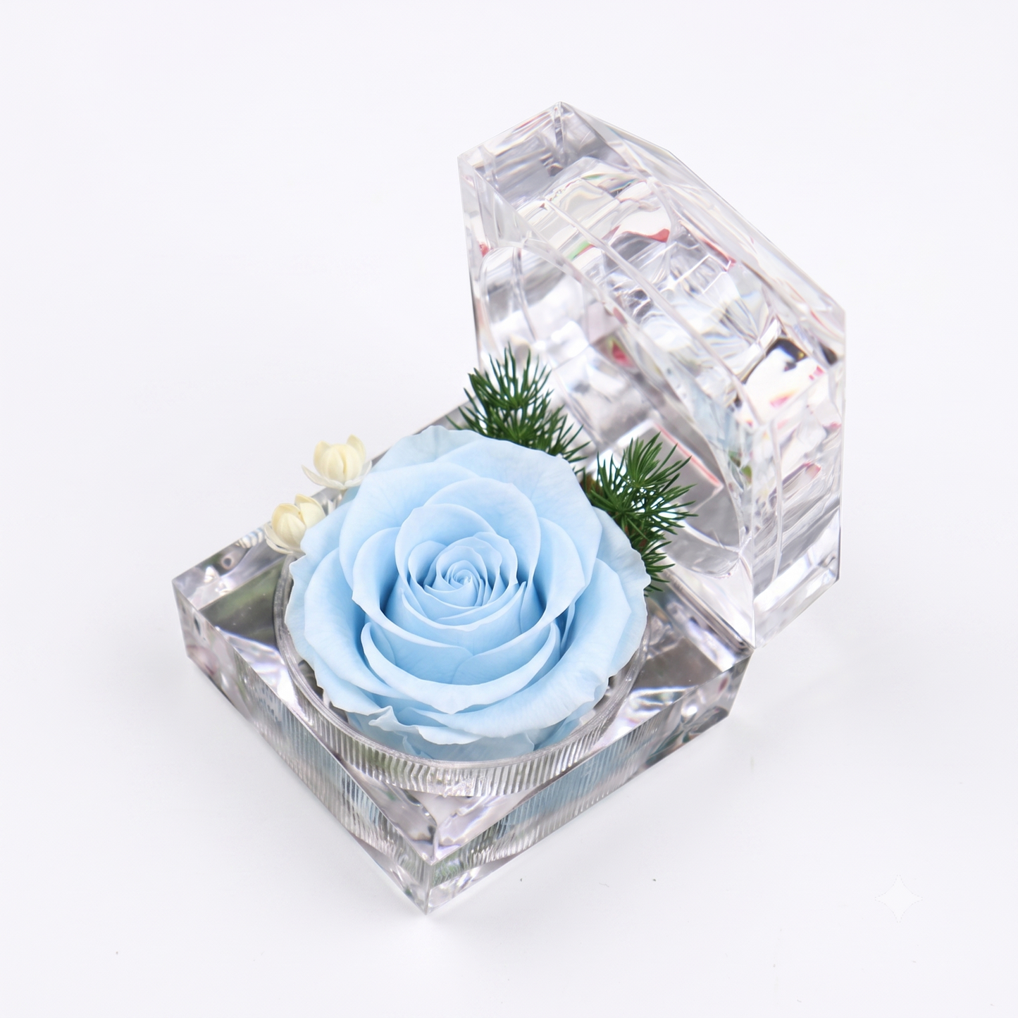 Eternal Ring box - acrylic Box