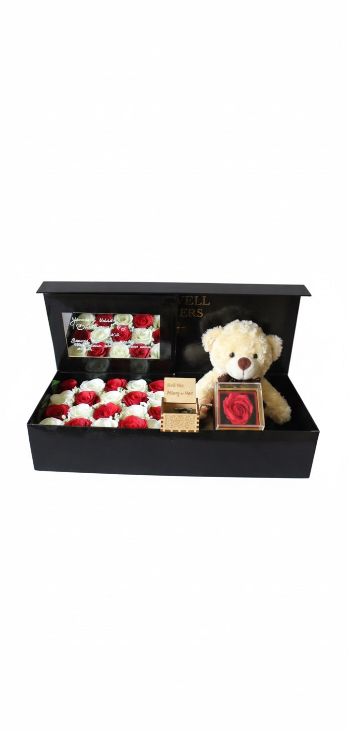 Teddy bear with red and white roses in a black box on a white background