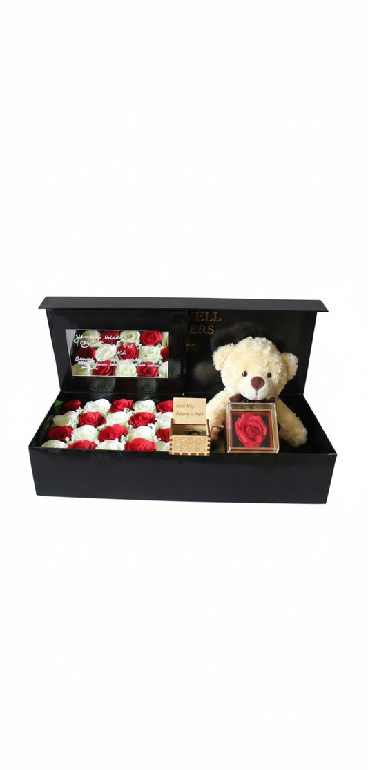 Teddy bear with red and white roses in a black box on a white background