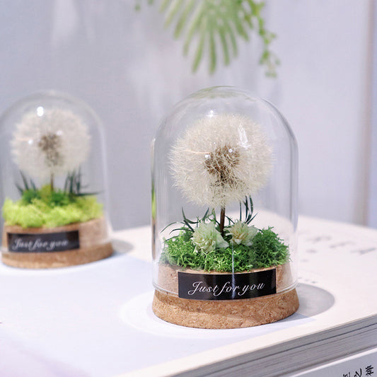 Dandelion (New) - Japanese Wishing Flowers