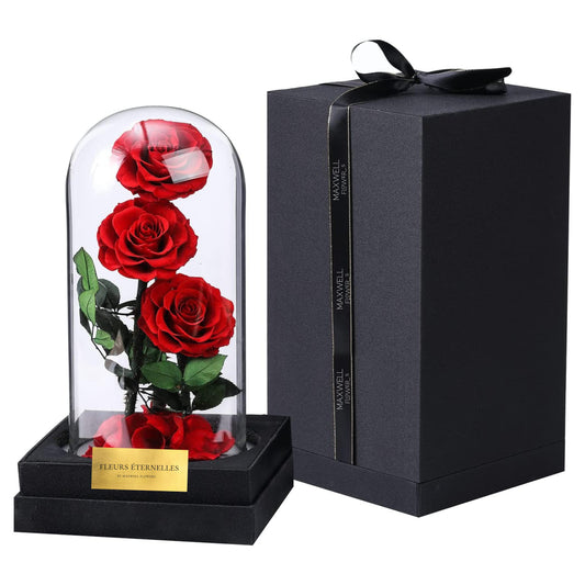 Greatest Rose Jumbo Dome Eternal Rose