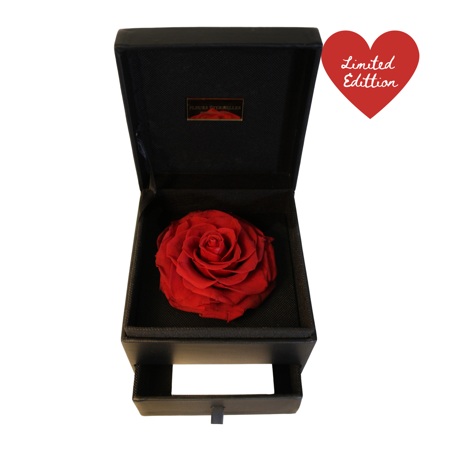 The greatest eternal rose black box with necklace