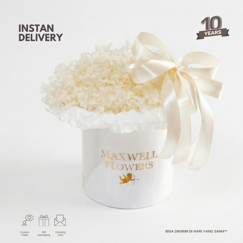 The White Eternal Hydrangea Box