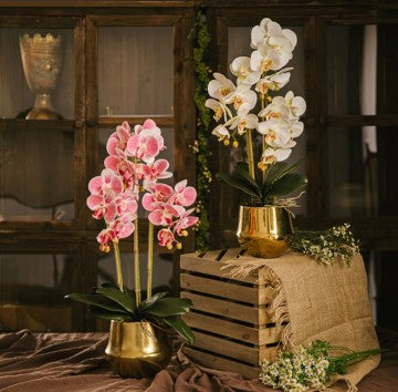 ORCHID IMPORTED VASE