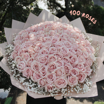 100 ROSES PINK - HOLLAND ROSES - JAKARTA
