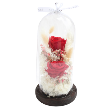 Duo Eternal Rose - Forever Flowers - Dome mix Dried