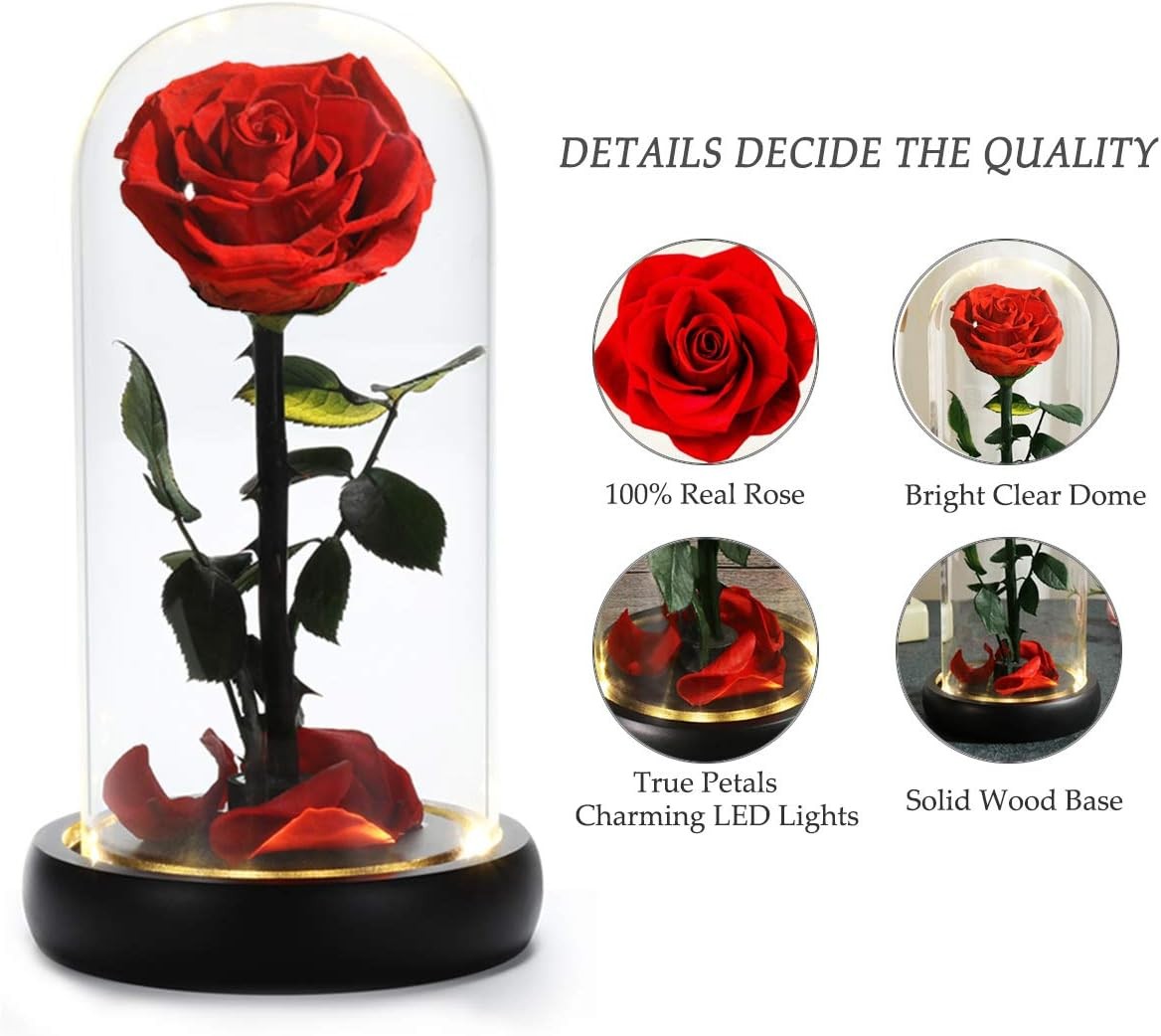 Special Red Rose Dome